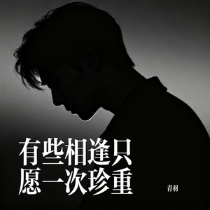 有些相逢只愿一次珍重