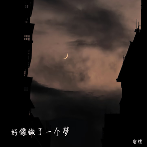 就像做了一个梦