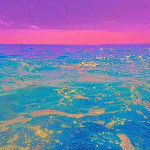 沧海的距离