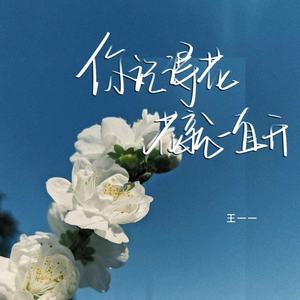你记得花 花就一直开