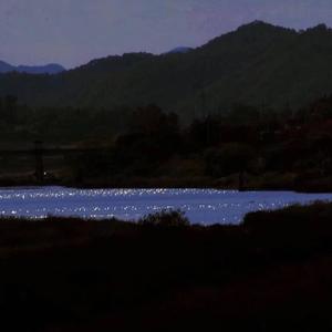 玫瑰少年