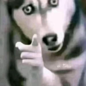 sweet dreams (slowed)