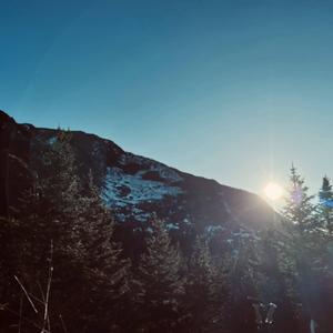 Erika (Rare Version )