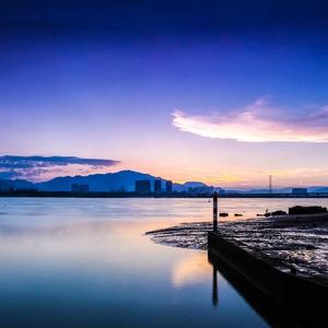 我希望你的未来我在其中参与