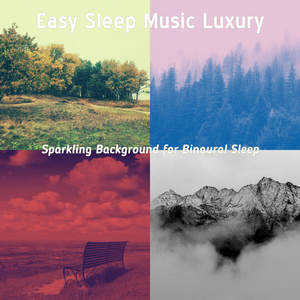 Shakuhachi and Koto Soundtrack for Sleeping Well