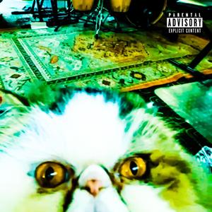 F.CK (feat. $PUTNIK) (REMIX)