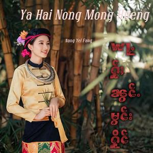 Ya Hai Nong Mong Hurng