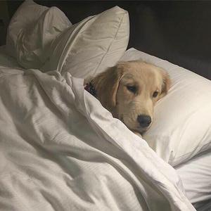 The Chainsmokers / Kill Paris-Closer&Paris（Mashup）（NNLIU / I2090 remix）