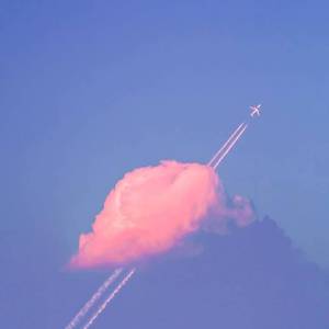 你说说什么是失落