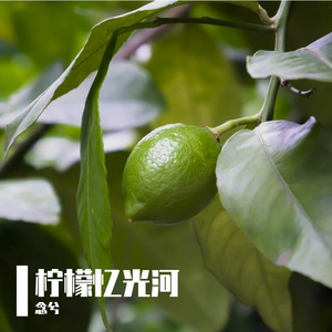 柠檬忆光河