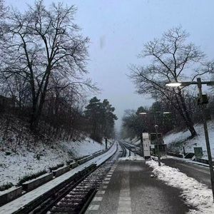 你的表情呢 失落的