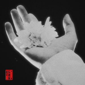 חומר מושלם (קנאית)