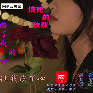 怎么让你伤心伤了你的心 - (伤感慢摇制作版)