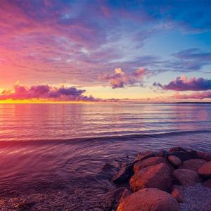 サイレントマジョリティー