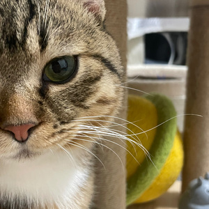 在畹町的鱼店看着江水一下午