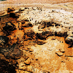 Jimmy Carter, Who Gets Blamed When It's All Our Fault. (Alternate Version)