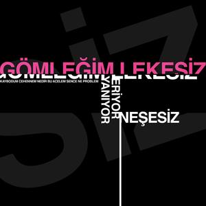 Gömleğim Lekesiz