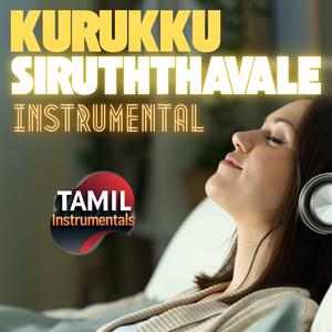 Kurukku Siruthavale