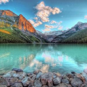 要我怎么忘了他