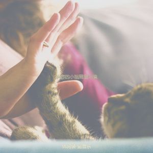 诗意的可爱猫咪节奏