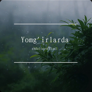 Yomg'irlarda