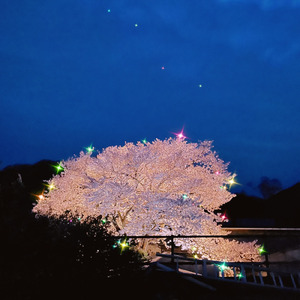 Okuribi (feat. 初音ミク, 東北ずん子, ZOLA YUU & IA)