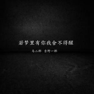 若梦里有你我舍不得醒