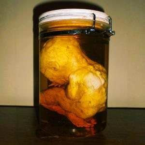 FORMALDEHYDE