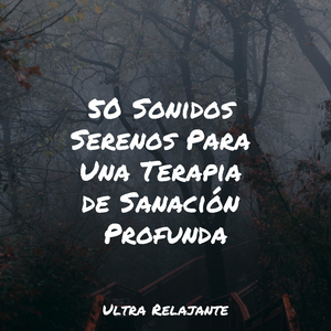 En Forma Y Saludable