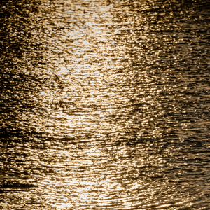 햇살을 머금은 이름