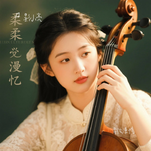 柔弦漫忆