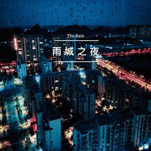 雨城之夜