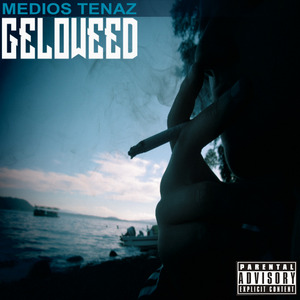 Expertos en Metaforas