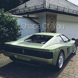 Ed Sheeran-Shape Of You（J.Ale / Subai remix）