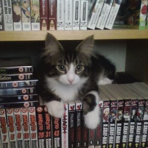 "Lunchtable" Westwood x THOME x 2000s Type Beat