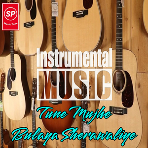 Tune Mujhe Bulaya Sherawaliye