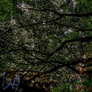 EGM (feat. NW Xyndi)