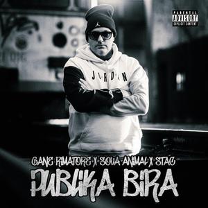 Publika bira (feat. Gane Rimatore & Sova Animal)