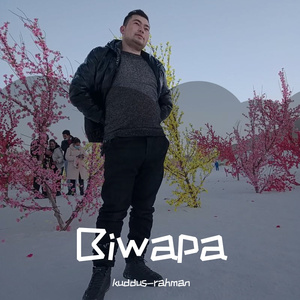 Biwapa