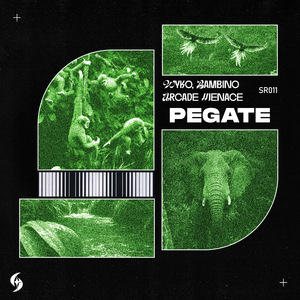 Pegate
