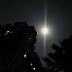 雀、星、月、 夜