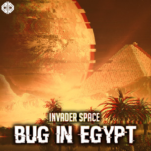 Bug in Egypt