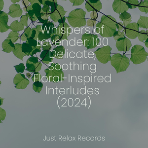 Spinning Through Time