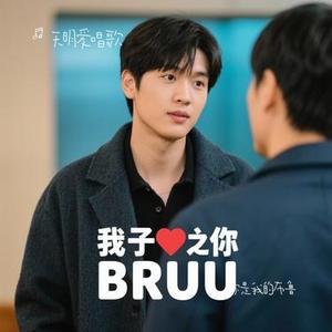 你是我的布鲁(Cover 张碧晨)