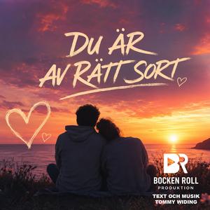 DU ÄR AV RÄTT SORT