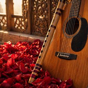 Usiralli Aledaduva Raga Waves of Melody | Kannada Romantic Song | Soulful Love Music