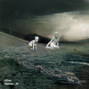 Axion