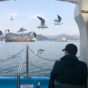 别在该动笔的年纪动了心