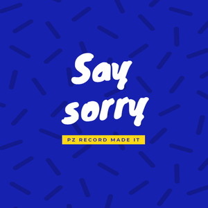 Say sorry（prod By.PUNISHME）