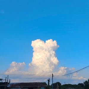 最佳位置cover赵学而